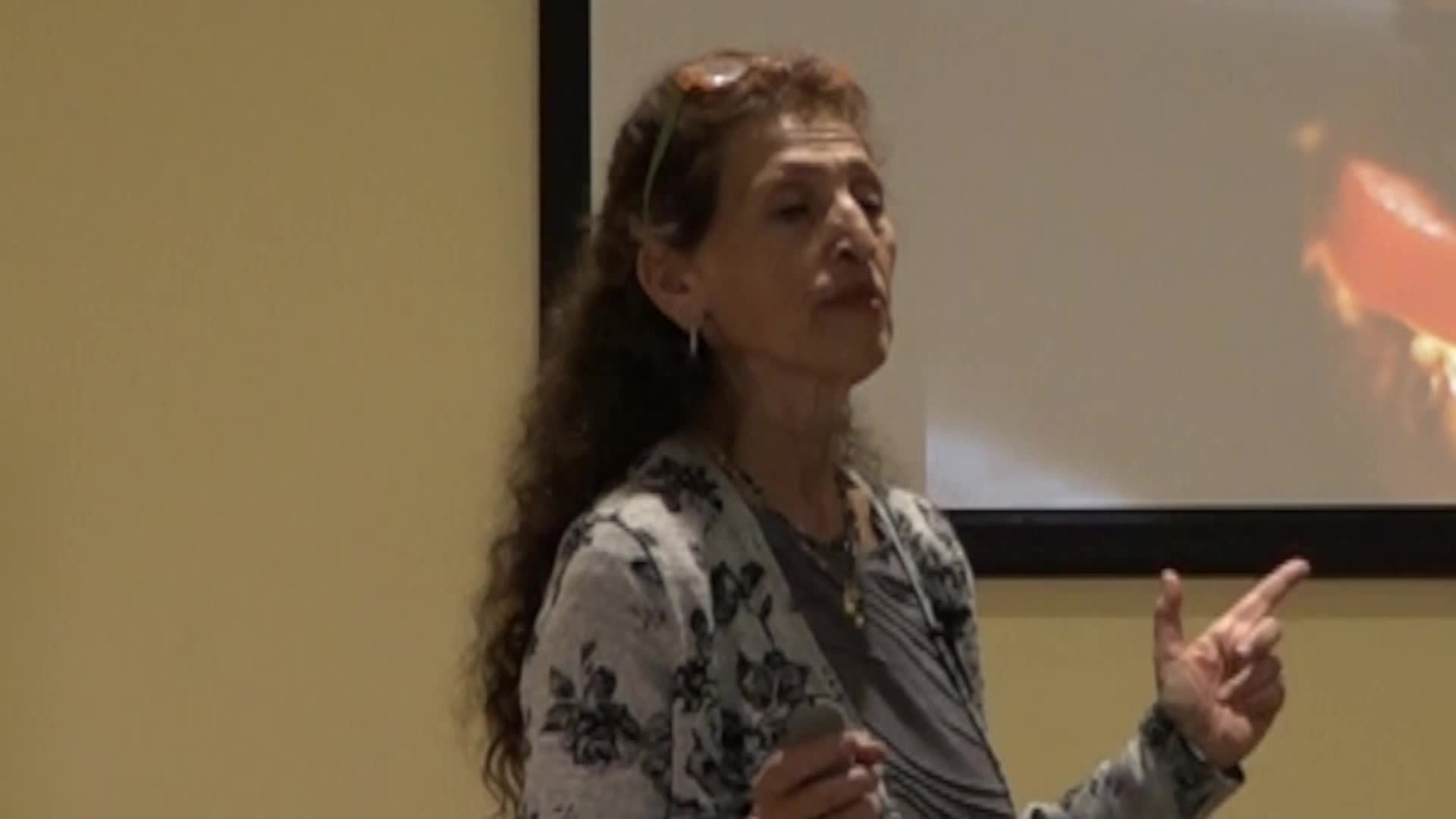 GMO Education