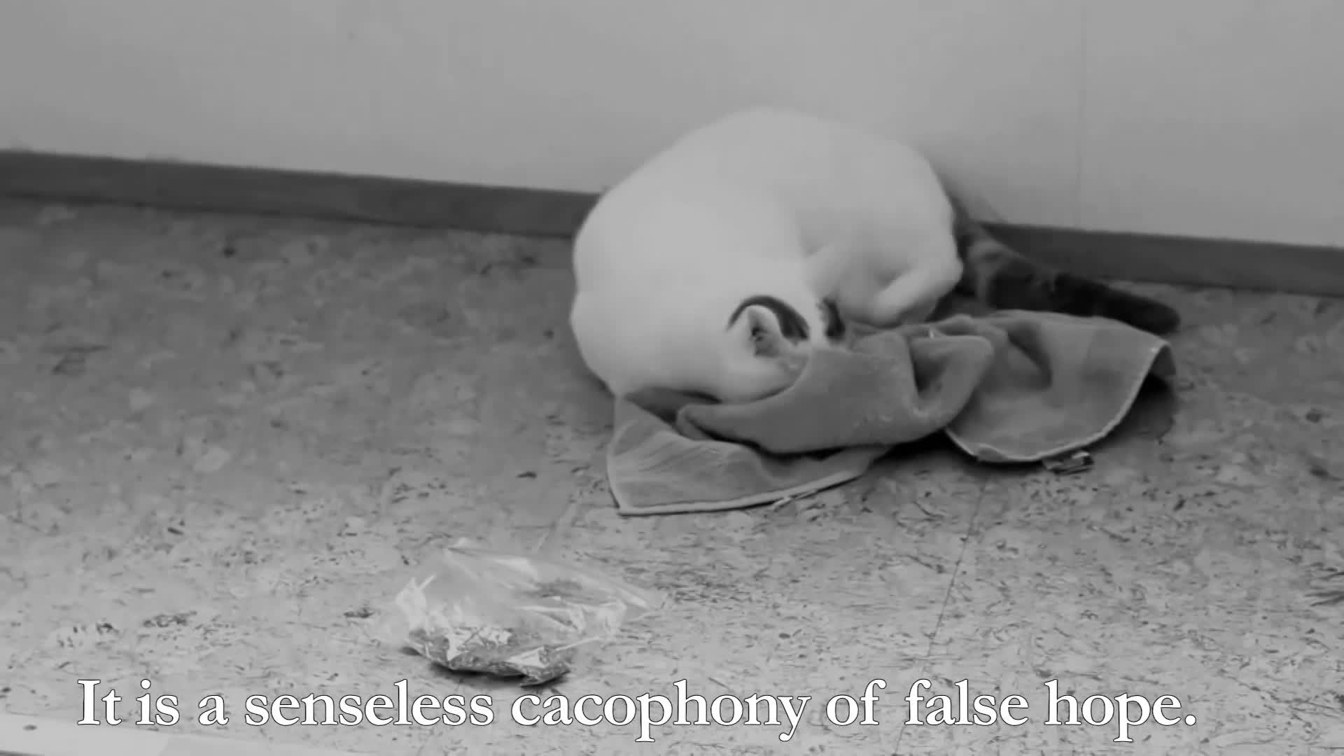 Henri 9 -  Blight of Spring