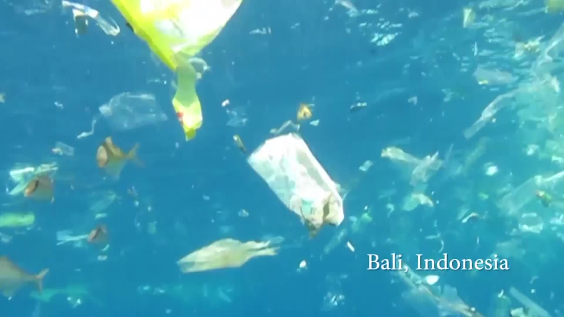 Streams of Plastic