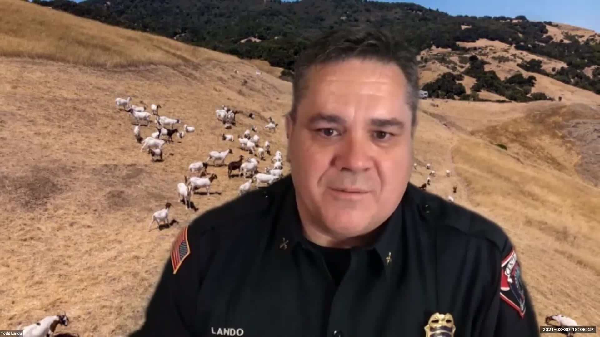 Fire Safe Marin - Busting Myths around Creating Defensible Space