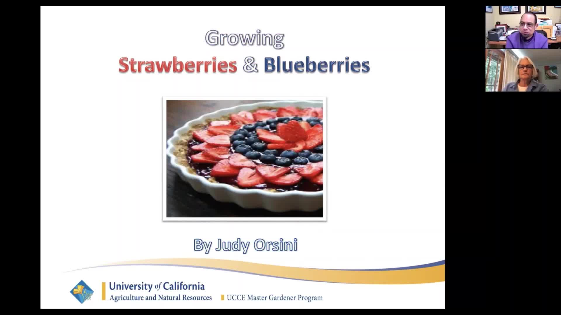 Growing Strawberries and Blueberries