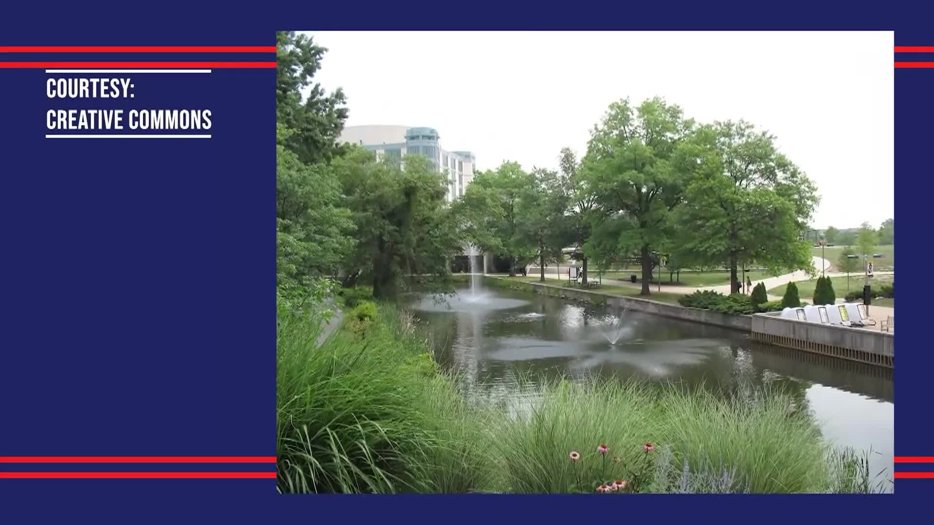 White House Chronicle