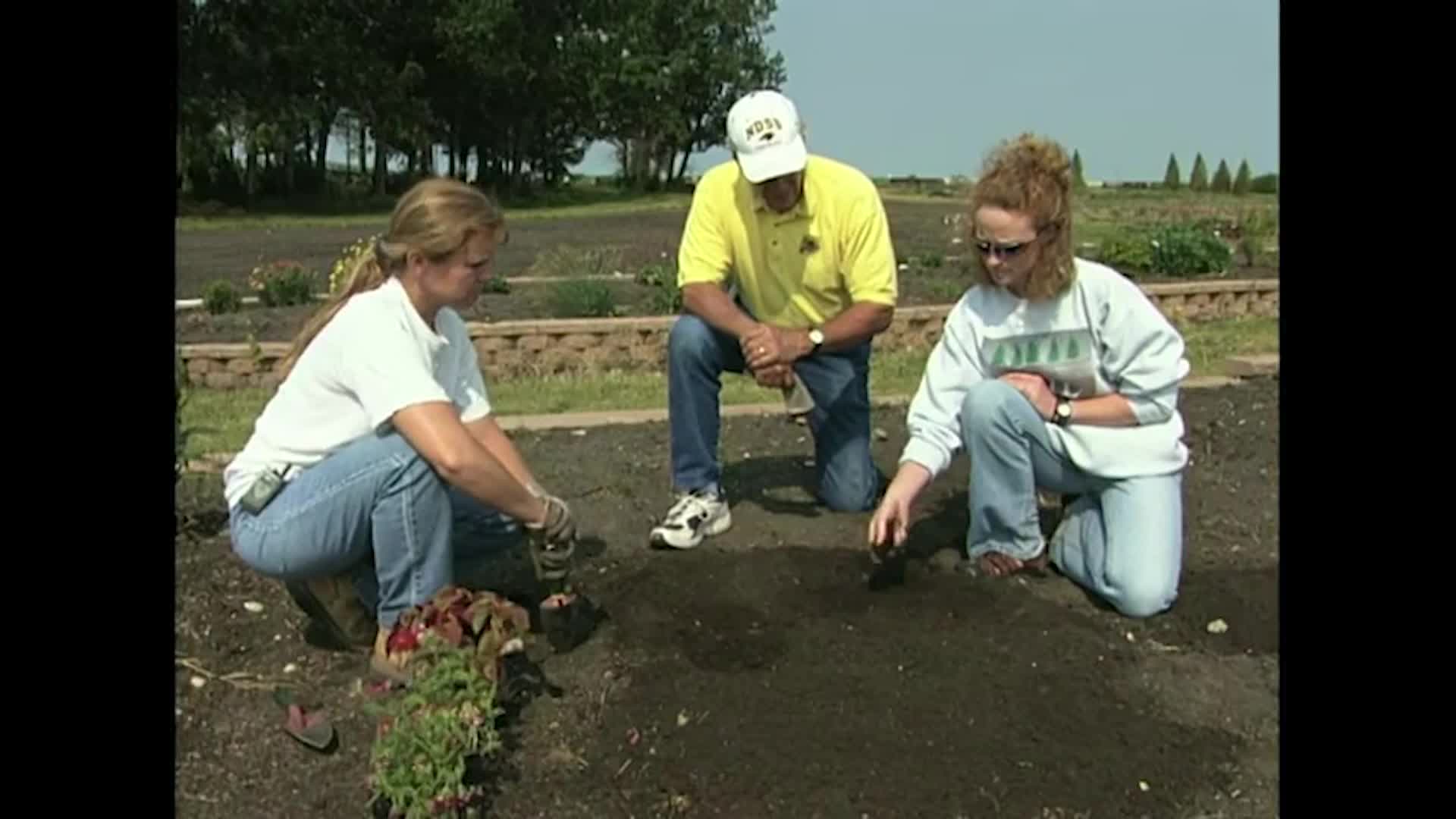NDSU - Horticulture for the Home - Flower Gardening